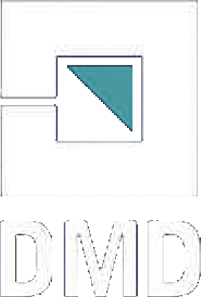DMD Developers